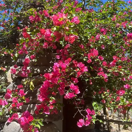 El Alpendre- Entre Plataneras, A 10 Minutos Playa *